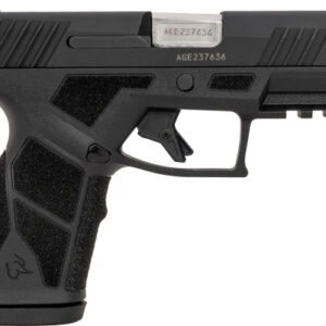 TAURUS GX2 9MM 10-SHOT ADJ. - STAINLESS POLYMER