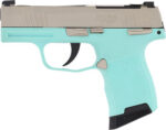 SIG P365 MIC COMP 380ACP 3.1" - XRAY3 OR (2)10RD ROB EGG/NICK - Image 2