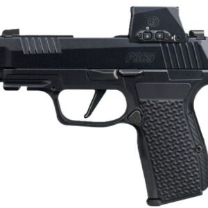 SIG P365 AXG LUXE 380ACP 3.1" - 2-PORT W/ROMEO-X (3)12RD BLACK