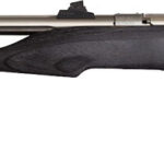 CHIPMUNK PISTOL HUNTER 22LR - STAINLESS/BLACK LAMNT THREADED