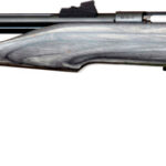 CHIPMUNK PISTOL HUNTER 22WMR - BLUED/BLACK LAMINATE THREADED