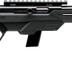 SAVAGE 64 PRECISION 22LR 10RD - 16.5" HB SYNTHETIC CHASSIS BLK