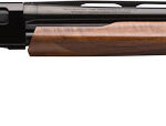WINCHESTER SXP HIGH GRADE 20GA - 3" 26"VR WALNUT HIGH GLOSS