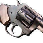 CHARTER ARMS THE PROFESSIONAL - 32 H&R MAG 3" BLACK/WALNUT