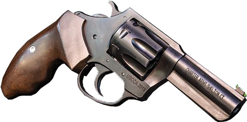 G63270_1.jpg CHARTER ARMS THE PROFESSIONAL - 32 H&R MAG 3" BLACK/WALNUT - Image 1