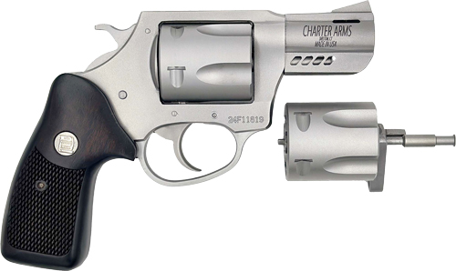 G73920_1.jpg CHARTER ARMS DOUBLE DOG 2.2" - 9MM/357 MAG PORTED STAINLESS - Image 1