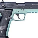 GERMAN SPORT FIREFLY 22LR - 4" FS 10RD NON-THREADED MINT