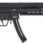 GERMAN SPORT GSG-16 PISTOL - 22LR 9.12" 22RD BLACK <