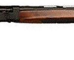 GFORCE ARMS REFUGE 12GA 28" - SEMI AUTO 5RD BLACK WALNUT