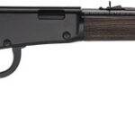 HENRY H1 GARDEN GUN 22WMR - 18.5" SMOOTH BORE BLUED WALNUT