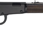 HENRY H1 GARDEN GUN 22LR - 18.5" SMOOTH BORE BLUED WALNUT