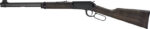 HENRY H1 GARDEN GUN 22LR - 18.5" SMOOTH BORE BLUED WALNUT - Image 2