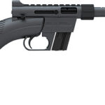 HENRY U.S. SURVIVAL AR-7 22LR - 16.125" BLACK SYNTHETIC
