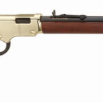HENRY H4 GOLDENBOY 22S/L/LR - 20" OCTAGON WALNUT