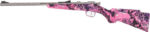 HENRY H5 MINI BOLT YOUTH 22LR - GEN 2 16.25" SS/SYN MUDDY GIRL - Image 2