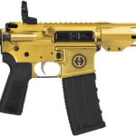 HIPOINT PISTOL HP-15 5.56 - 10.5" 30RD BLADE BRACE GOLD
