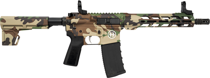 GHP15P556M81_1.jpg HIPOINT PISTOL HP-15 5.56 - 10.5" 30RD BLADE BRACE M81 - Image 1