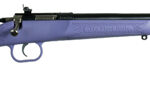 CRICKETT RIFLE G2 22LR - BLUED/PURPLE