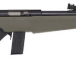ROSSI RB22 COMPACT 22LR BOLT - 16.5" OD GREEN SYNTHETIC
