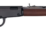HEN FRONTIER LVR 22WMR