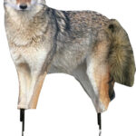 MONTANA DECOY COYOTE SONG DOG