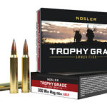 NOSLER TGA 300 WIN 190GR ABLR 20/200
