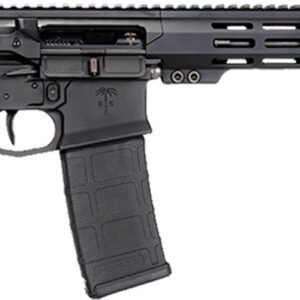 CAI US PALM STORM CAT4 5.56 30