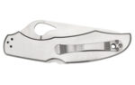 SPYDERCO BYRD CARA CARA 3.75" COMBO - Image 2
