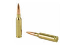 WIN USA 6.5CREED 125GR OT 60/240 - Image 4