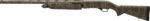WINCHESTER SXP WATERFOWL 12GA - 3" 28"VR MOSSY OAK BOTTOMLAND - Image 2
