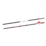 Bloodsport Punisher Arrow 350 Spine 6/pk
