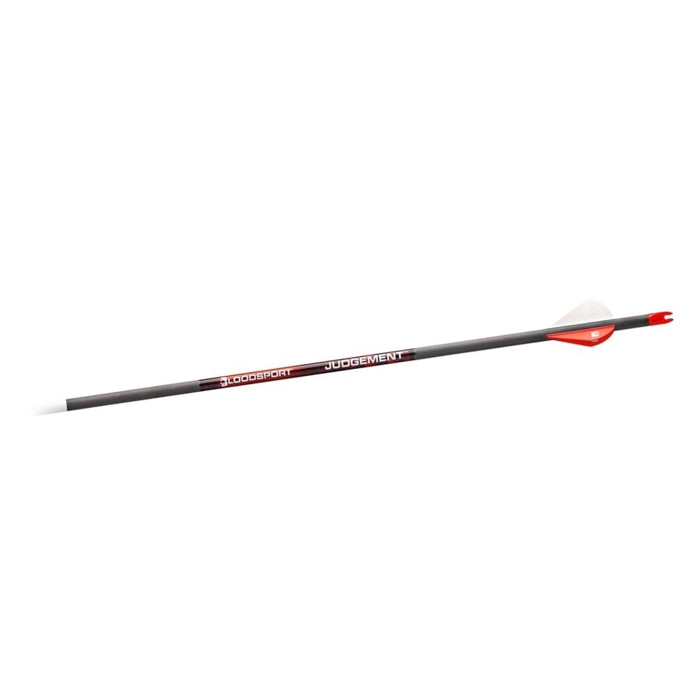 https3A2F2Fmedia.chattanoogashooting.com2Fimages2Fproduct2FGMBLSPSB1401062FGMBLSPSB140106-1.jpg Bloodsport Judgement Arrow 400 Spine 6/pk - Image 1
