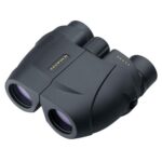 Leupold BX-1 Rogue Compact Binocular - 8x25mm Inverted Porro Prism Black