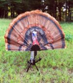MOJO TAIL CHASER MAX TURKEY - FAN CLAMP ON FOR 10GA-20GA BBL - Image 2