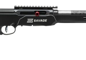 SAVAGE A22 PRECISION LT 22LR RFL 18