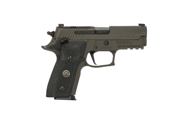 image-full-7584-40d1977caf9a59198ebbcd8be78177cd.jpg SIG SAUER LEGION 229 SAO 9MM PSTL GRY, BLK G10 GRIP, 3-10RD MAGS, OPTICS READY MASS COMPIANT - Image 1