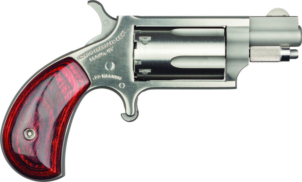 naa-22msc.jpg NAM MINI-REV 22LR/22M 1.125SS - Image 1