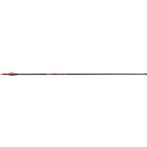 Victory RIP Sport Arrows 300 2 in. Vanes 6 pk.
