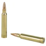 FEDERAL 300 WIN MAG 180GR FUSION 20 RD/BX 10 BX/CS - Image 3