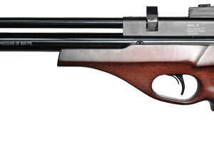 BEEMAN 2028 PCP .22 PELLET - AIR PISTOL 600 FPS 10-SHOT