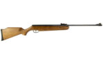 CROSMAN VANTAGE NP .22 WOOD