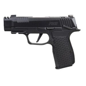 Sig Sauer P365 380-AXG LUX Handgun .380 Auto 10rd Magazines(3) 3.1" Barrel LUXE X-RAY Sights Manual