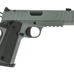 TISAS NIGHT STALKER COMP 10MM GRY #