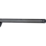 Savage Axis 2 XP G4 Rifle 308 Win 20 in. BLK/Gray Stock 4rd w/3-9X40 BDC LH