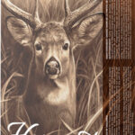 BARNES HARVEST 243 WIN 90GR - TIPPED GAMEKING 20RD 10BX/CS