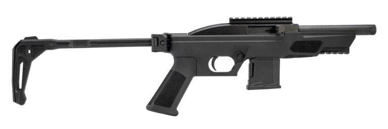 BRZ ROSSI RS22P 22LR 10R BRACE