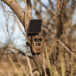 Moultrie Edge 4 Solar Cellular Trail Camera - Image 2