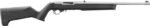 RUG 10/22 22LR 18 SS TB MPI
