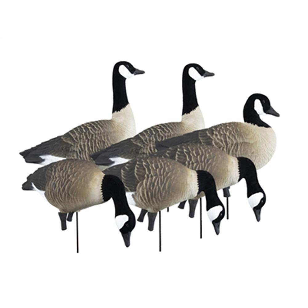 https3A2F2Fmedia.chattanoogashooting.com2Fimages2Fproduct2FHG722372FHG72237-1.jpg Higdon Outdoors APEX Full-Size Full-Body Variety Pack - Canada Goose
