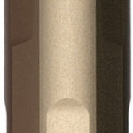 SKI AR ADVNCD RECVR EXT FDE